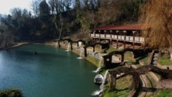 Parco Laghi dei Reali